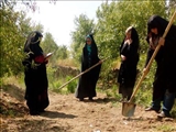برگزاری دوره آموزشی کشت زعفران برای بانوان روستای اسفهلان