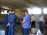 بازدید از مرکز آموزش خود اشتغالی شهر تیمورلو در آذرشهر